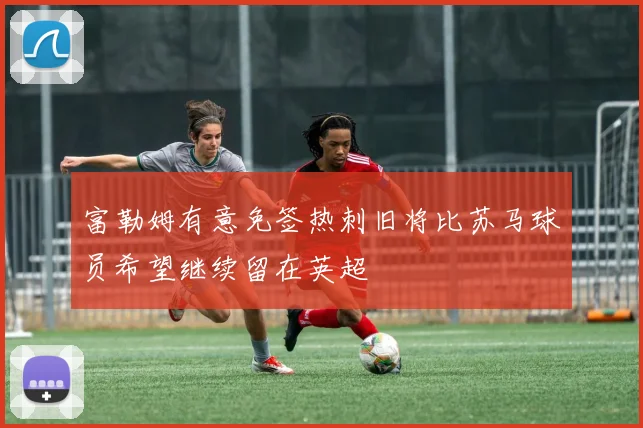 富勒姆有意免签热刺旧将比苏马球员希望继续留在英超